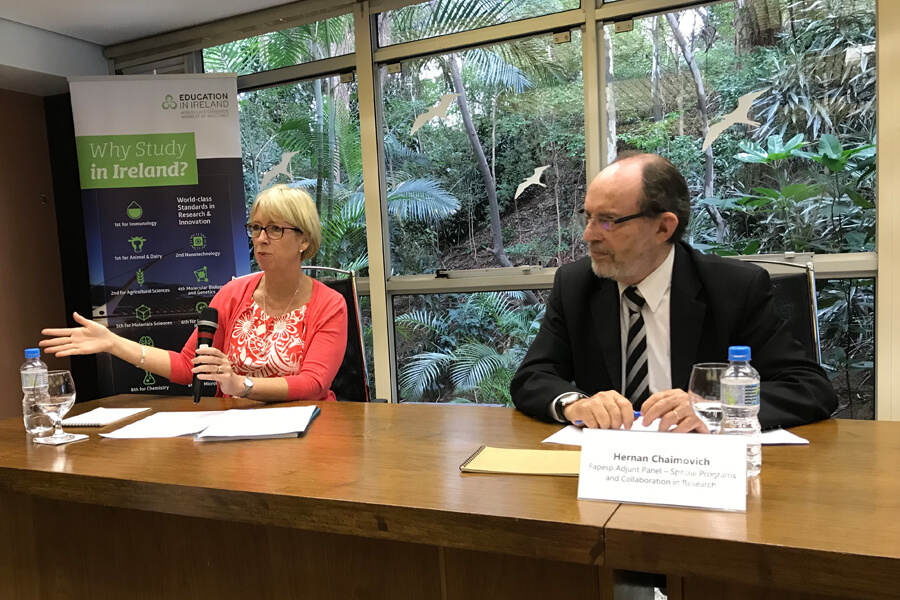 Alison Campbell, Director of Knowledge Transfer Ireland speak at an event hosted by FAPESP (São Paulo state funding agency)